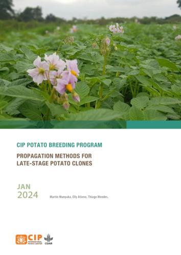Propagation methods for late-stage potato clones. CIP Potato Breeding Program