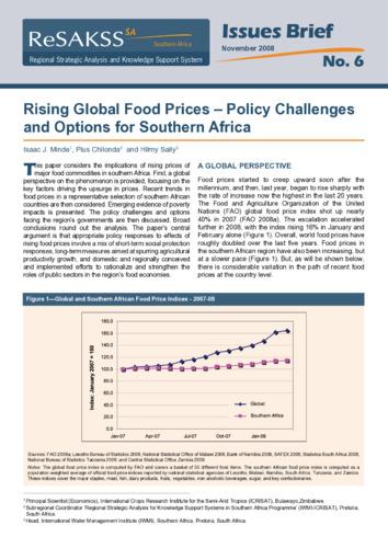 Rising global food prices - policy challenges and options for Southern Africa