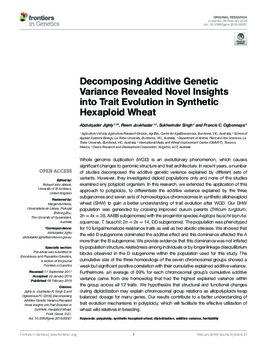 Decomposing additive genetic variance revealed novel insights into trait evolution in synthetic hexaploid wheat