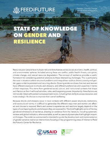 State of knowledge on gender and resilience