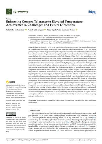 Enhancing cowpea tolerance to elevated temperature: achievements, challenges and future directions
