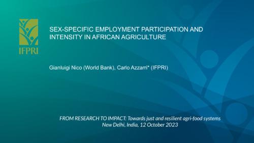 Sex-specific employment participation and intensity in African agriculture