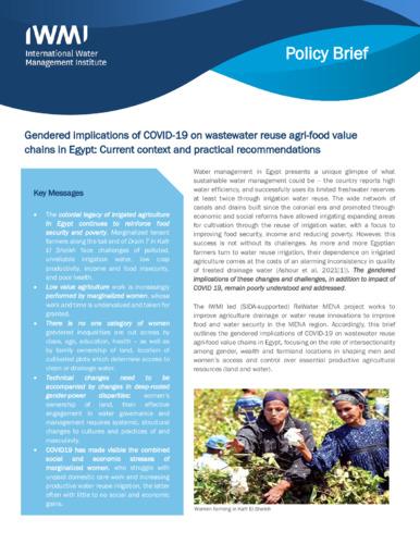 Gendered implications of COVID-19 on wastewater reuse agri-food value chains in Egypt: Current context and practical recommendations