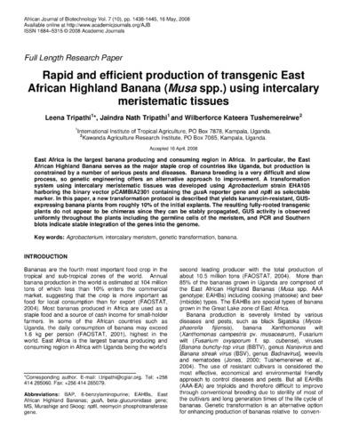 Rapid and efficient production of transgenic East African highland banana (Musa spp.) using intercalary meristematic tissues