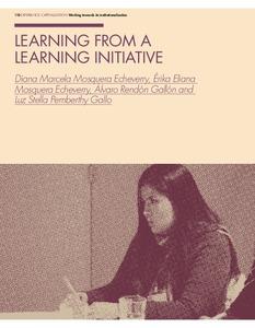 Learning from a learning initiative