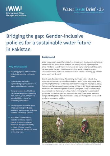 Bridging the gap: gender-inclusive policies for a sustainable water future in Pakistan