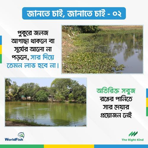 Fertilizer Do's and Dont's