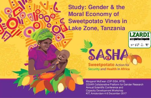 Study: Gender & the Moral Economy of Sweetpotato Vines in Lake Zone, Tanzania