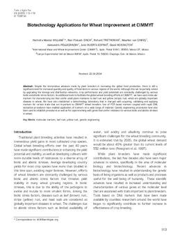 Biotechnology applications for wheat improvement at CIMMYT
