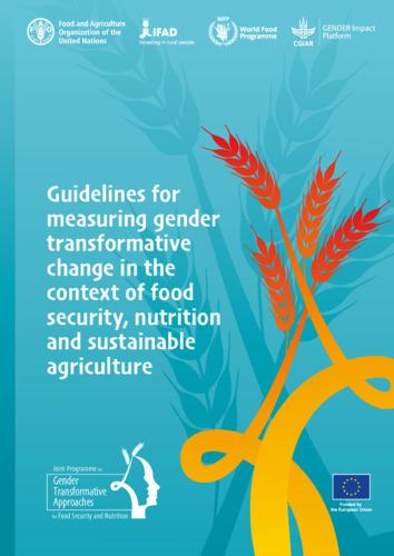 Guidelines for measuring gender transformative change in the context of food security, nutrition and sustainable agriculture