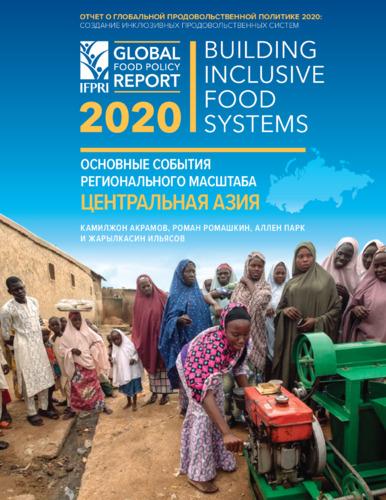 Regional developments [in 2020 Global Food Policy Report]