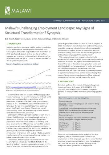Malawi’s challenging employment landscape: Any signs of structural transformation? Synopsis