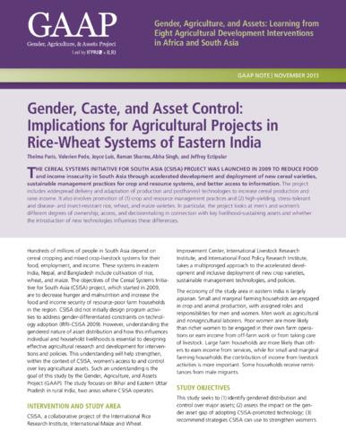 Gender, caste, and asset control: Implications for agricultural projects in rice-wheat systems of eastern India