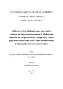 Análisis de la diversidad genética de papas nativas (Solanum sec. Petota) de la comunidad de Chahuaytire, integrante del Parque de la Papa (Pisaq-Cusco), y de las papas nativas repatriadas por el Centro Internacional de la Papa usando marcadores microsatélites
