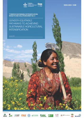 Gender-equitable pathways to achieving sustainable agricultural intensification
