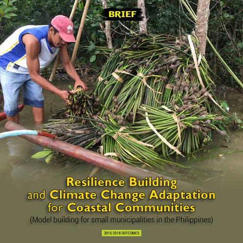 Resilience Building and Climate Change Adaptation for Coastal Communities (Model building for small municipalities in the Philippines)