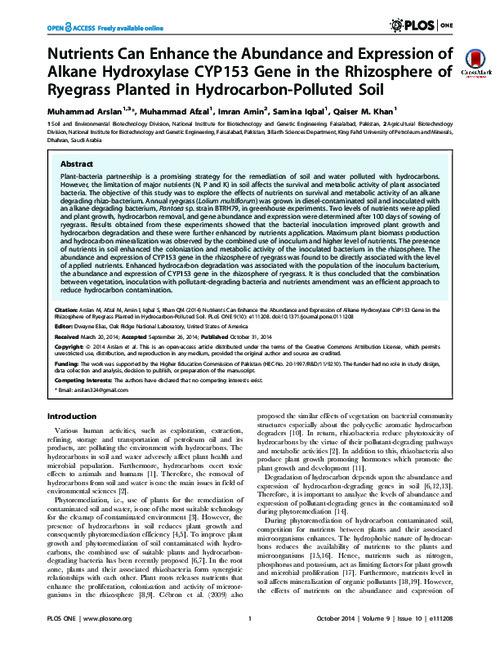 Nutrients Can Enhance the Abundance and Expression of Alkane Hydroxylase CYP153 Gene in the Rhizosphere of Ryegrass Planted in Hydrocarbon-Polluted Soil