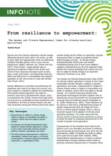 From resilience to empowerment: The Gender and Climate Empowerment Index for climate-resilient agriculture