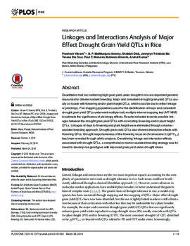 Linkages and interactions analysis of major effect drought grain yield QTLs in rice