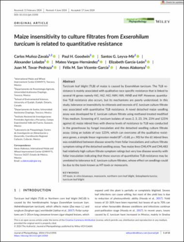 Maize insensitivity to culture filtrates from Exserohilum turcicum is related to quantitative resistance