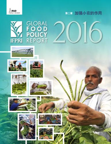 Climate change and agriculture: Strengthening the role of smallholders