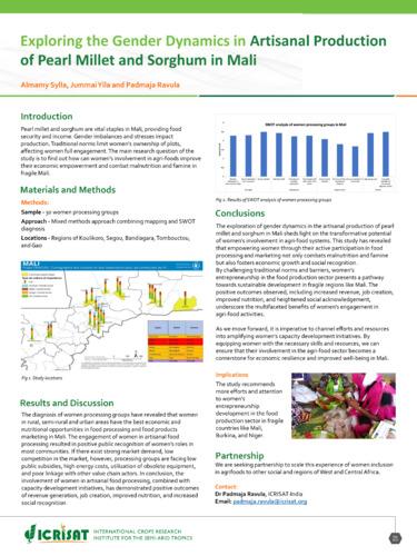 Exploring the gender dynamics in artisanal production of pearl millet and sorghum in Mali
