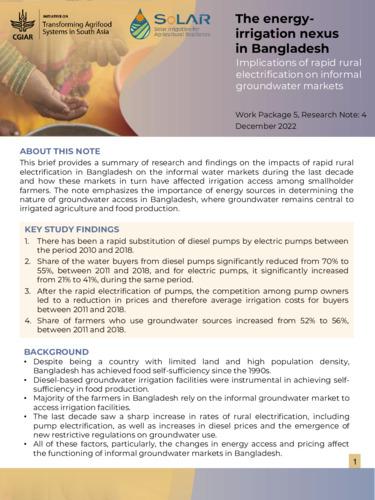 The energy-irrigation nexus in Bangladesh: implications of rapid rural electrification on informal groundwater markets
