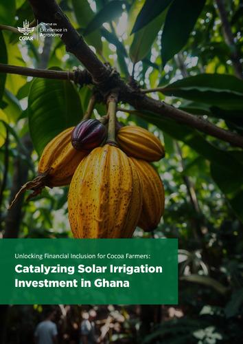Unlocking financial inclusion for cocoa farmers: catalyzing solar irrigation investment in Ghana