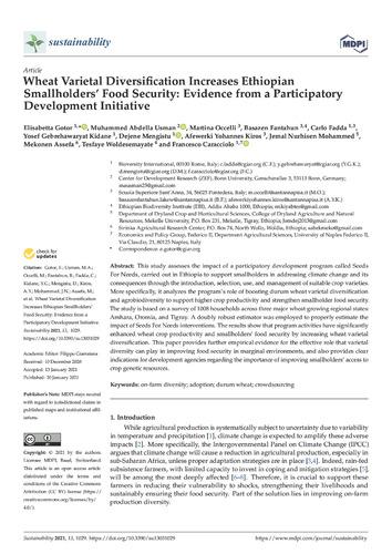 Wheat varietal diversification increases Ethiopian smallholders’ food security: Evidence from a participatory development initiative