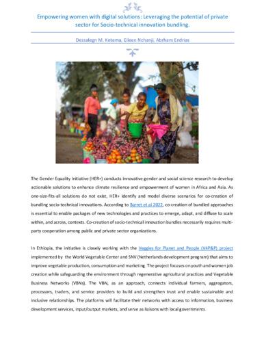 Empowering women with digital solutions: Leveraging the potential of the private sector for socio-technical innovation