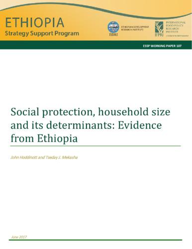 Social protection, household size and its determinants: Evidence from Ethiopia