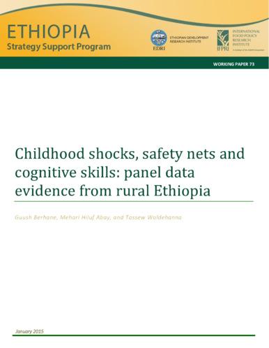 Childhood shocks, safety nets and cognitive skills: Panel data evidence from rural Ethiopia