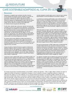 Café sostenible adaptado al clima en Guatemala