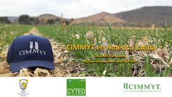 CIMMYT en América Latina