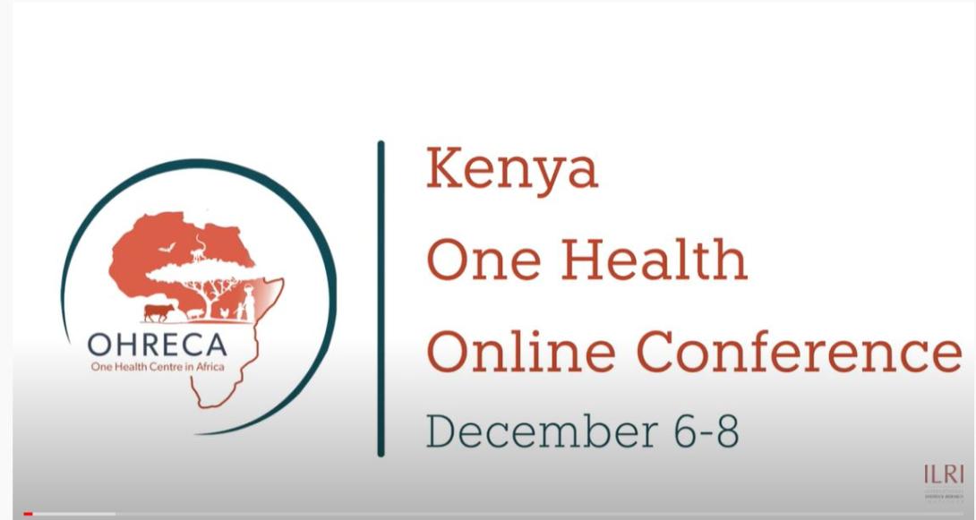 Investigating zoonotic disease risk in forced migration using One Health