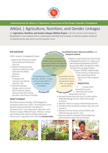 Agriculture, Nutrition, and Gender Linkages (ANGeL)