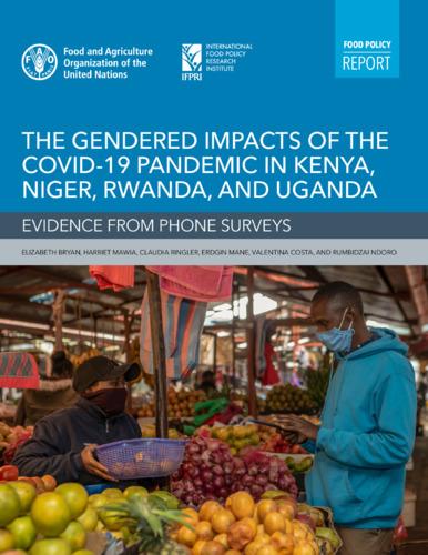 The gendered impacts of the COVID-19 pandemic in Kenya, Niger, Rwanda, and Uganda: Evidence from phone surveys
