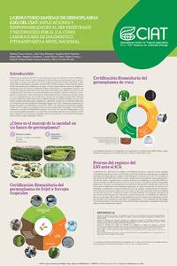 Laboratorio Sanidad de Germoplasma (LSG) del CIAT: Implicaciones y responsabilidades al ser registrado y reconocido por el ICA como laboratorio de diagnóstico fitosanitario a nivel nacional