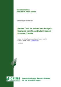 Gender tools for value chain analysis: Examples from groundnuts in Eastern Province, Zambia(Series Paper Number 21)