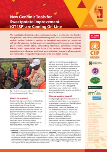 New Genomic Tools for Sweetpotato Improvement (GT4SP) are Coming On-Line