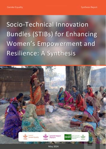 Socio-Technical Innovation Bundles (STIBs) for Enhancing Women’s Empowerment and Resilience: A Synthesis