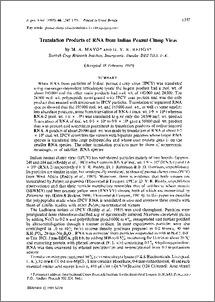 Translation products of RNA from Indian peanut clump virus