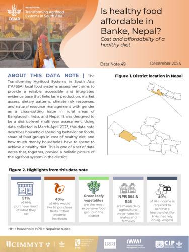 Is healthy food affordable in Banke, Nepal? Cost and affordability of a healthy diet