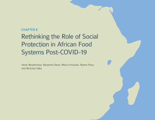 Rethinking the role of social protection in African food systems post-COVID-19