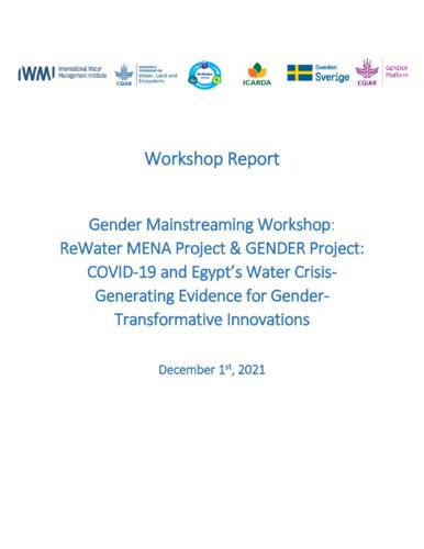 Gender Mainstreaming Workshop: ReWater MENA Project & GENDER Project: COVID-19 and Egypt's Water Crisis - Generating Evidence for Gender-Transformative Innovations