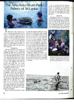 The athu kotu (brush park) fishery of Sri Lanka