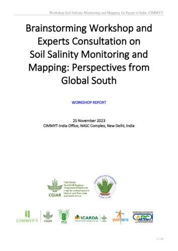 Brainstorming workshop and experts consultation on soil salinity monitoring and mapping: perspectives from Global South