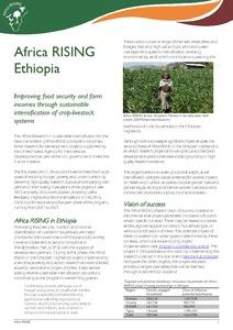 Africa RISING Ethiopia: Improving food security and farm incomes through sustainable intensification of crop-livestock systems
