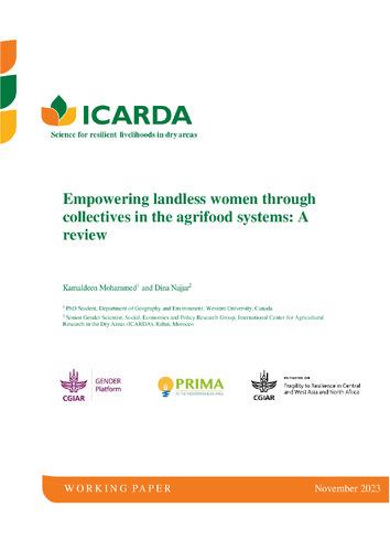 Empowering landless women through  collectives in the agrifood systems: A  review