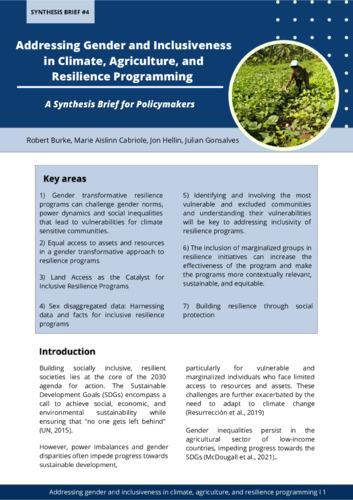 Addressing Gender and Inclusiveness in Climate, Agriculture, and Resilience Programming